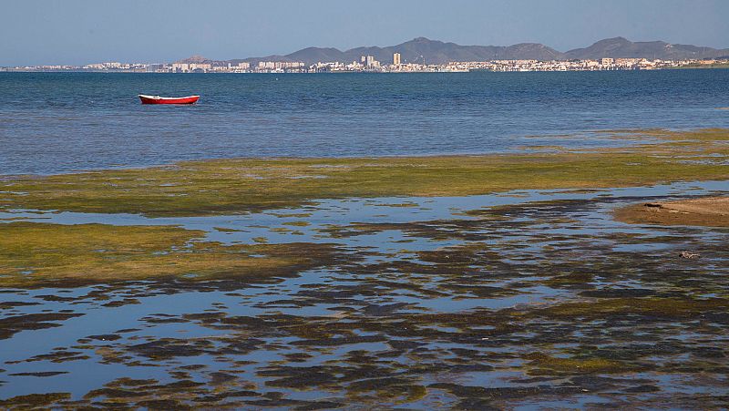El Mar Menor, en riesgo de un nuevo episodio de falta de oxgeno y "muerte masiva de organismos", segn el IEO