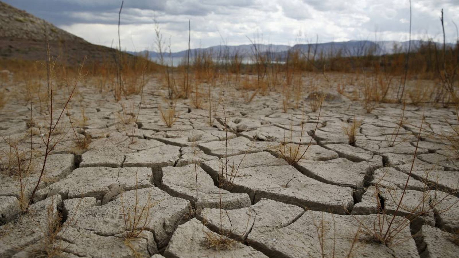 La ONU alerta de una degradación crónica del suelo terrestre