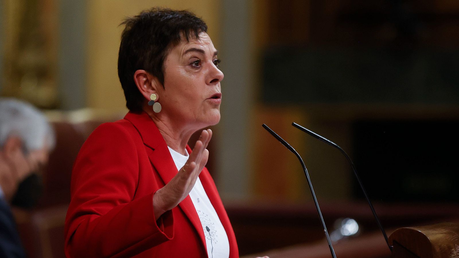 La diputada de EH-Bildu Mertxe Aizpurúa