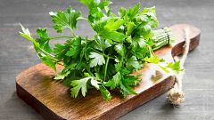 El perejil, planta aromática y raíz comestible