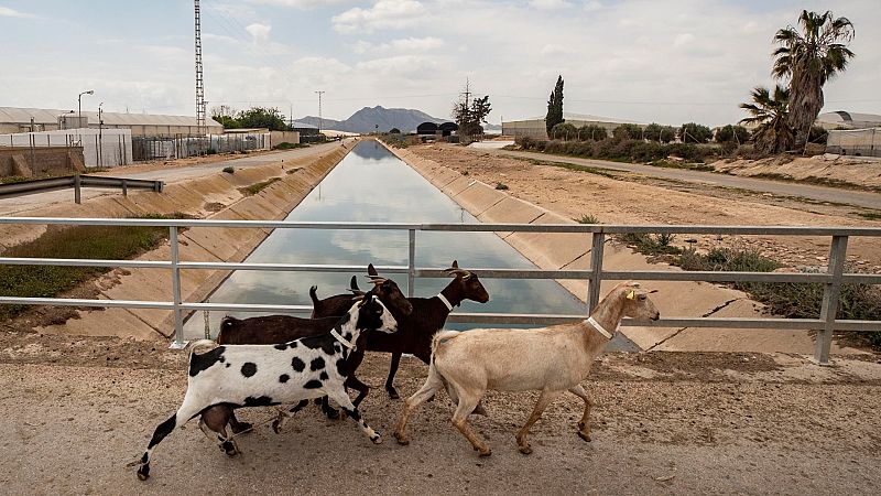 Sánchez anuncia 800 millones extra para mejorar la gestión del agua en el sector agroalimentario
