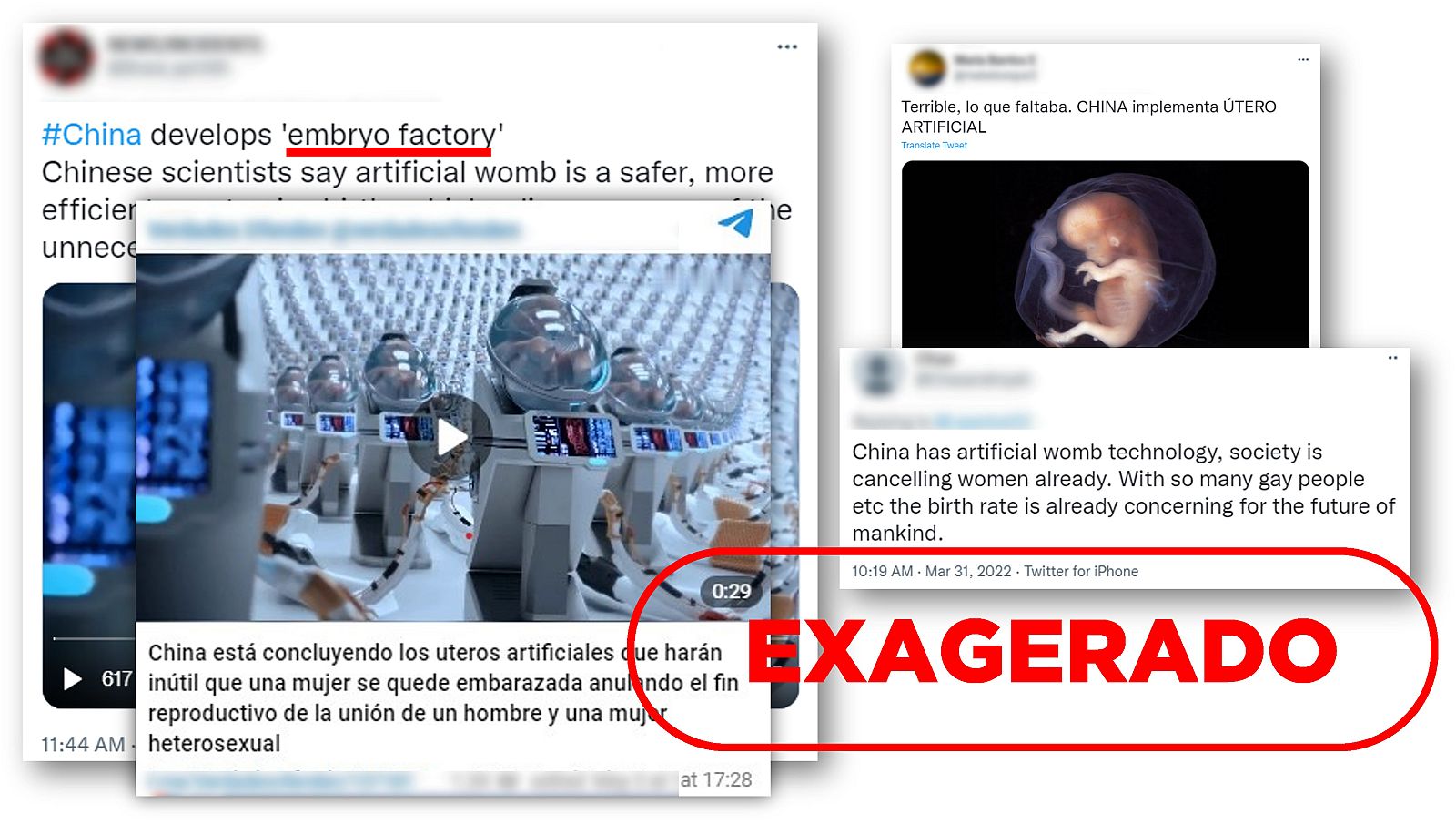 Bulos que afirman que China no dispone de una factoría de embriones humanos