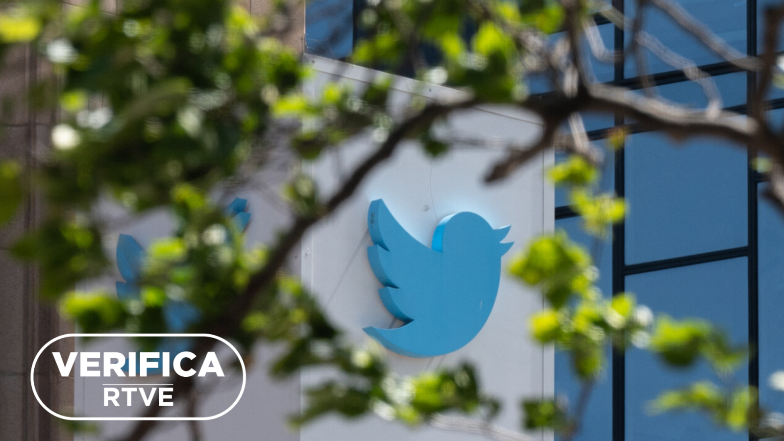 Twitter presenta su política de desinformación de crisis