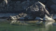 Las aguas termales de la Fuente Santa en La Palma están entre las mejores de Europa