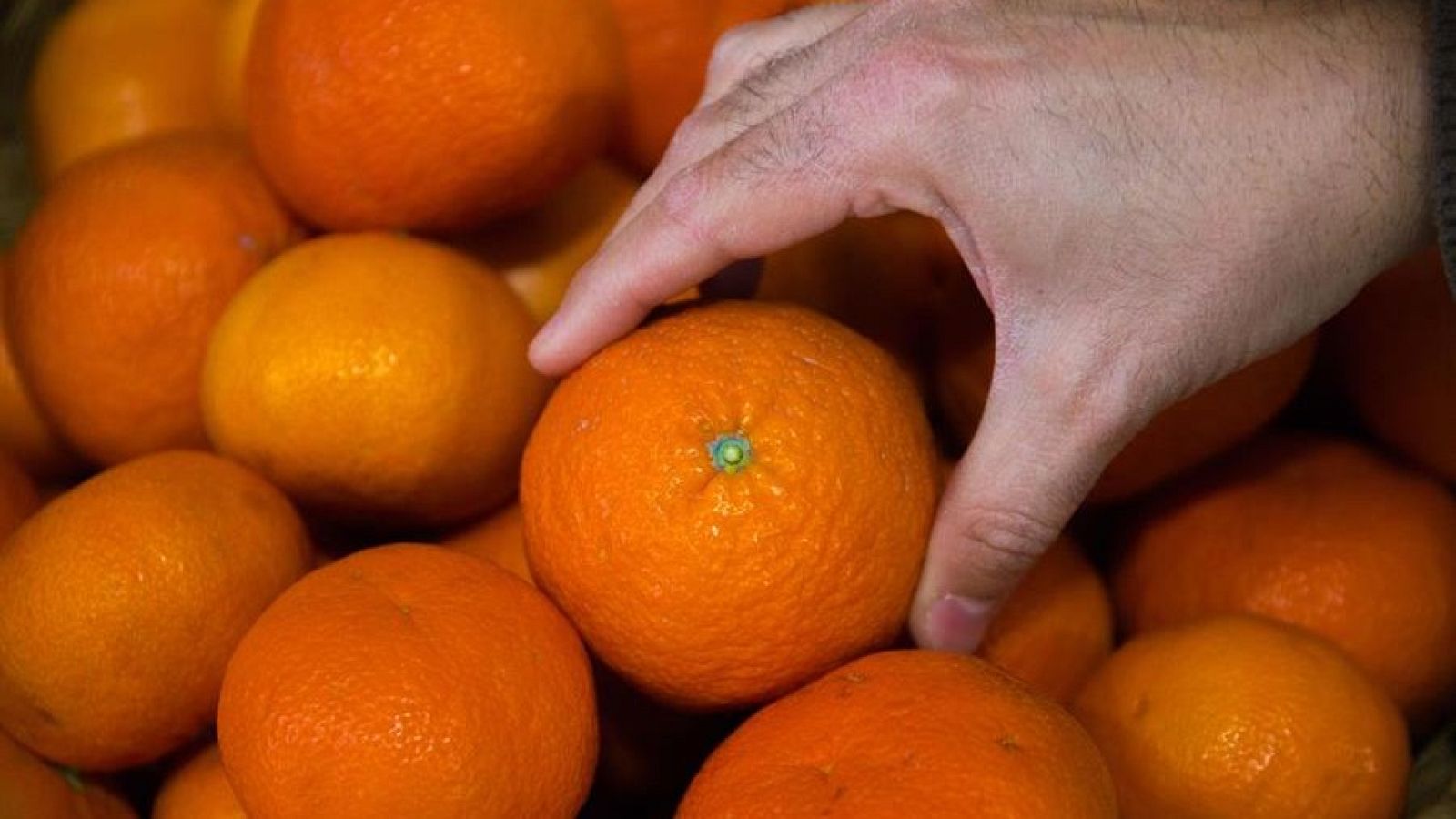 mandarinas-efe-biel-alio