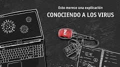 Esto merece una explicación: conociendo a los virus