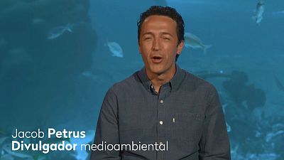 RTVE lanza 'Por un planeta mejor', una campa�a en defensa del medioambiente