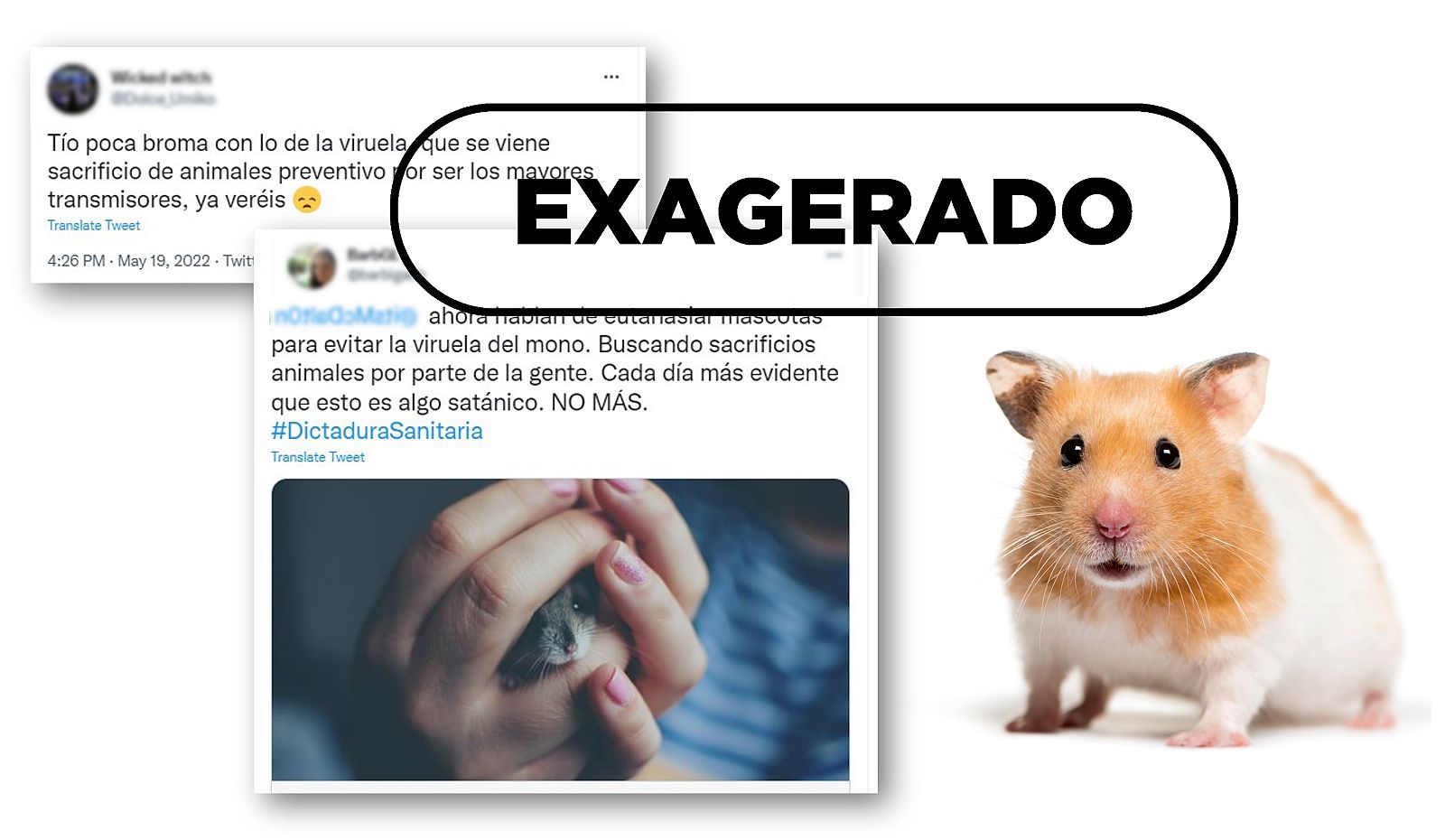 Mensajes exagerados sobre el sacrificio de mascotas por culpa de la viruela del mono