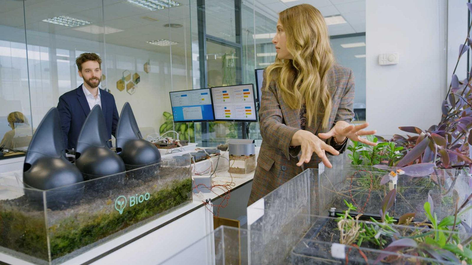 Poden les plantes i la terra ser una font d'energia?