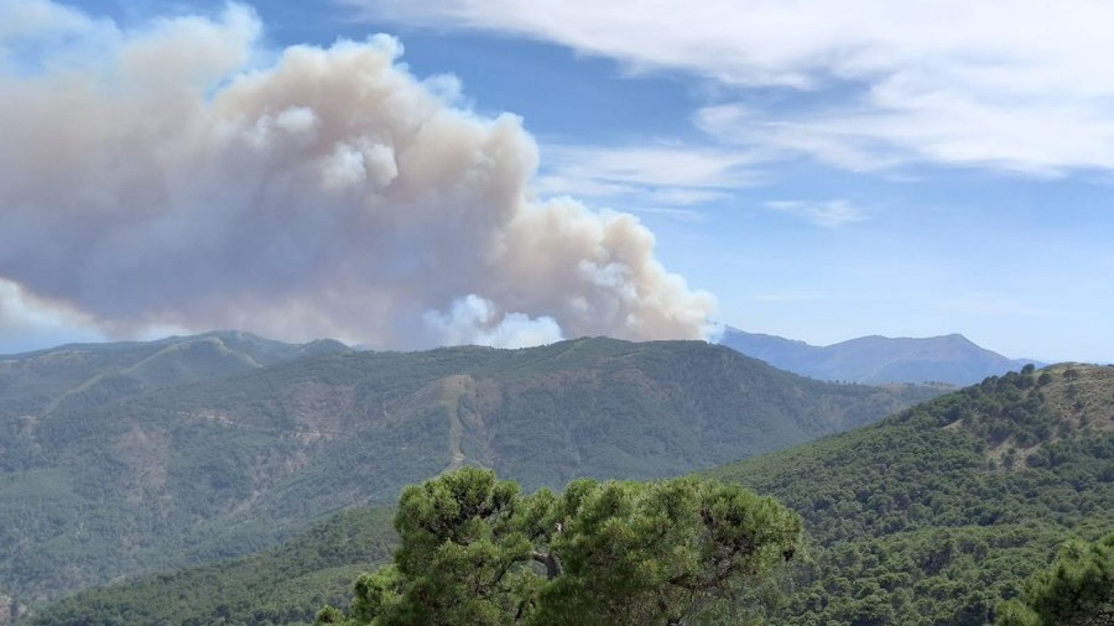 Vista del incendio declarado este miércoles en Pujerra (Málaga), en pleno corazón de Sierra Bermeja