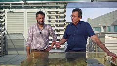 Carlos Duarte, eminencia de la oceanografía: "La mayor amenaza es pensar que los océanos no tienen solución"