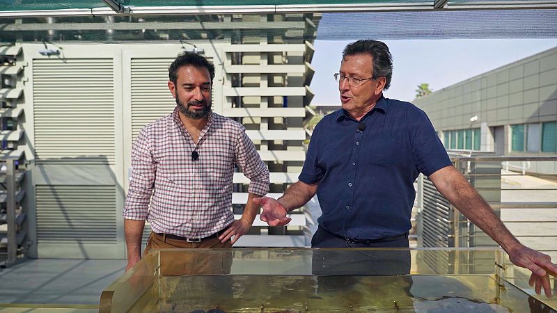 Carlos Duarte, eminencia de la oceanografa: "La mayor amenaza es pensar que los ocanos no tienen solucin"