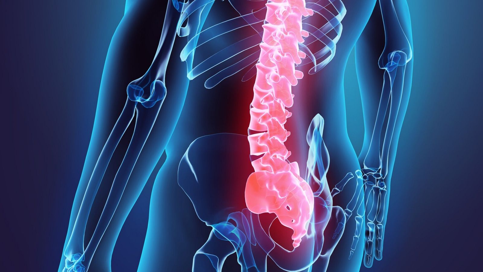 ¿Por qué los humanos perdimos la cola?