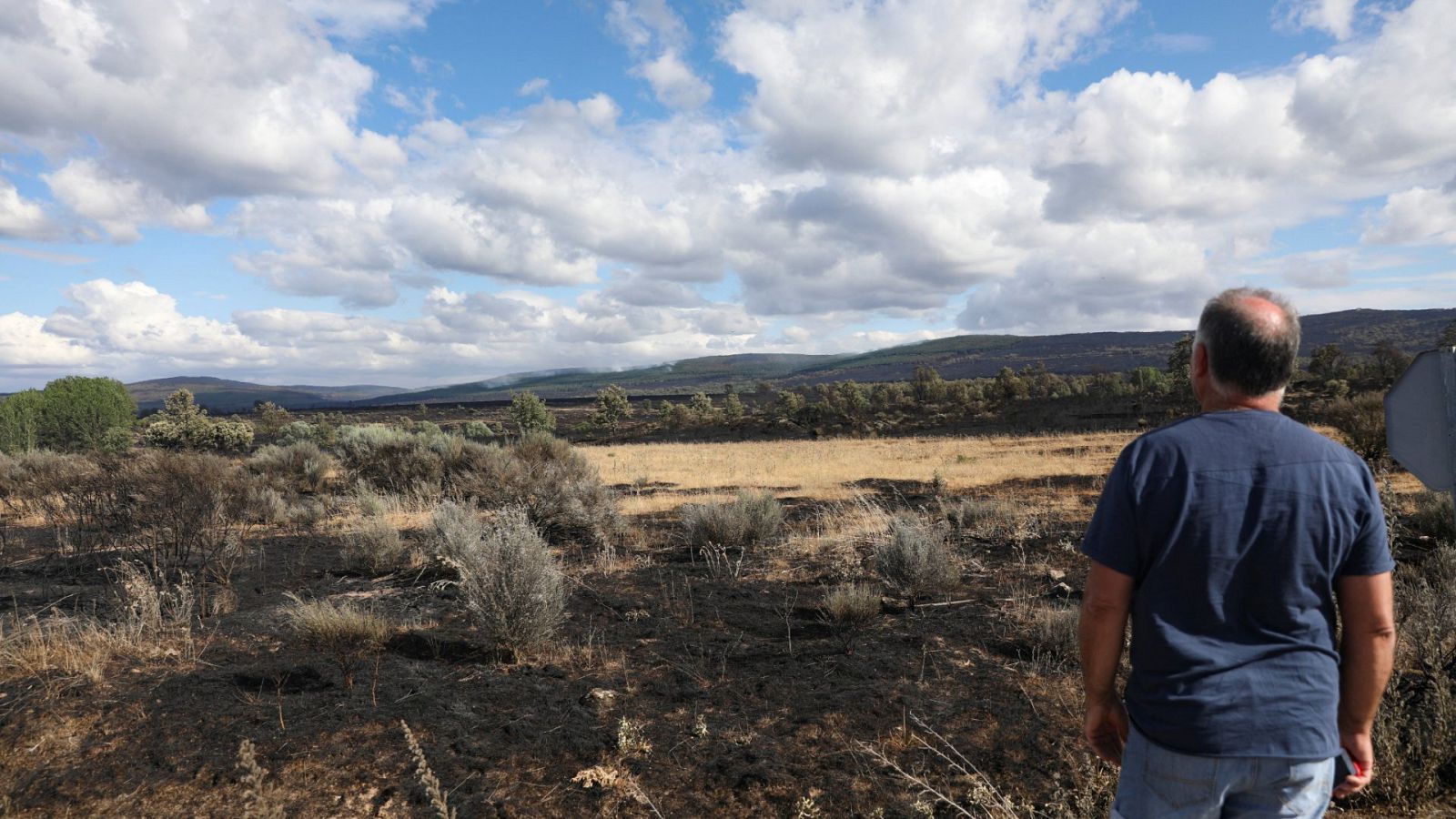 Un hombre observa las secuelas del incendio forestal en la Sierra de la Culebra cerca de Villanueva de Valrojo (Zamora)
