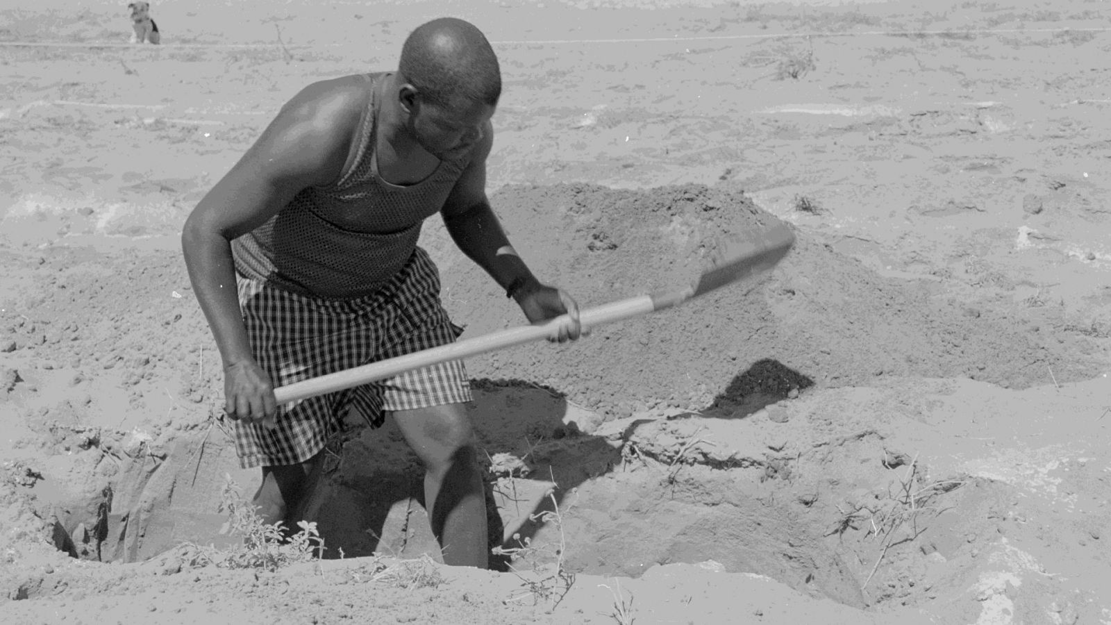 Foto perteneciente a la muestra 'Bienes ocultos'