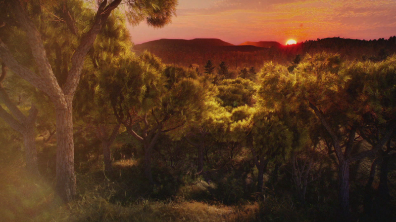 RTVE lanza una campa�a por un verano m�s responsable