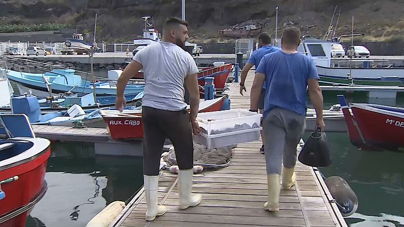 Los pescadores de La Palma estn en una situacin lmite
