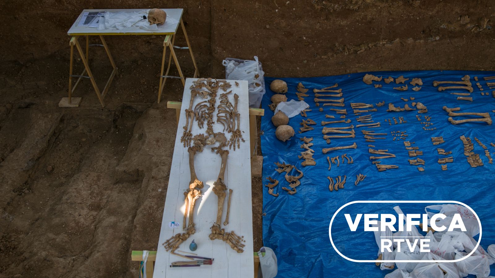 Restos humanos en la fosa común de Pico Reja, en el cementerio de San Fernando (Sevilla)