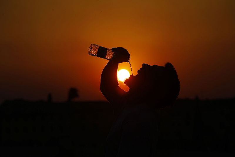 El CSIC, ante la ola de calor: "Este verano probablemente sea el más fresco de lo que nos quede de vida"