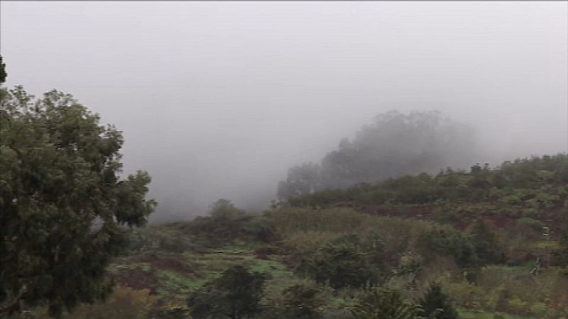 54.000 litros de agua captados de la niebla en Gran Canaria