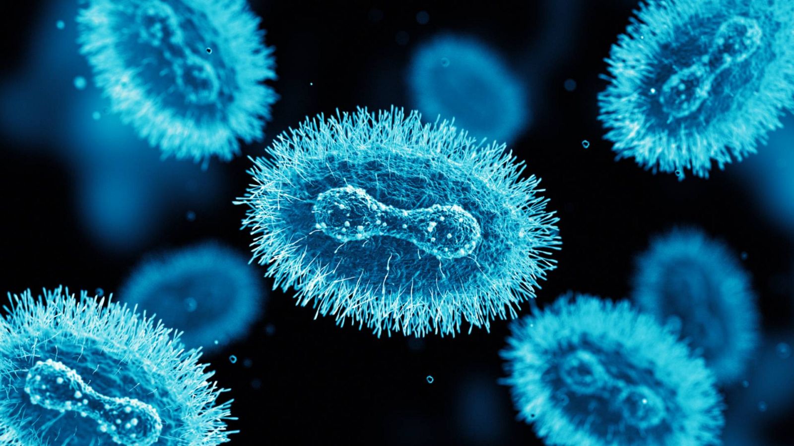 Monkey P¿Qué implica la declaración de la viruela del mono como emergencia de salud internacional?ox. Cells.  Microscope Slide