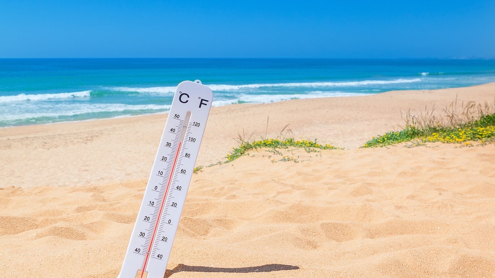 La temperatura del Mediterráneo ha subido entre 2,5 y 4 grados respecto a los marcadores usuales en esta época