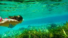 Las olas de calor marinas amenazan la biodiversidad: "Habrá especies que desaparecerán"