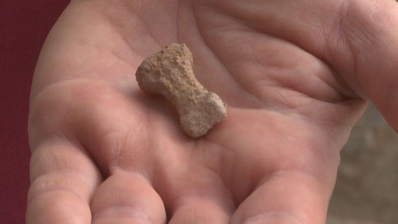 Un hueso de falange de ms de 100.000 aos, ltimo hallazgo de la Sima de las Palomas