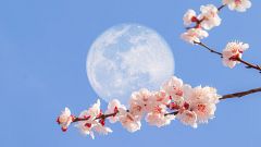 ¿Por qué a veces se ve la Luna de día?