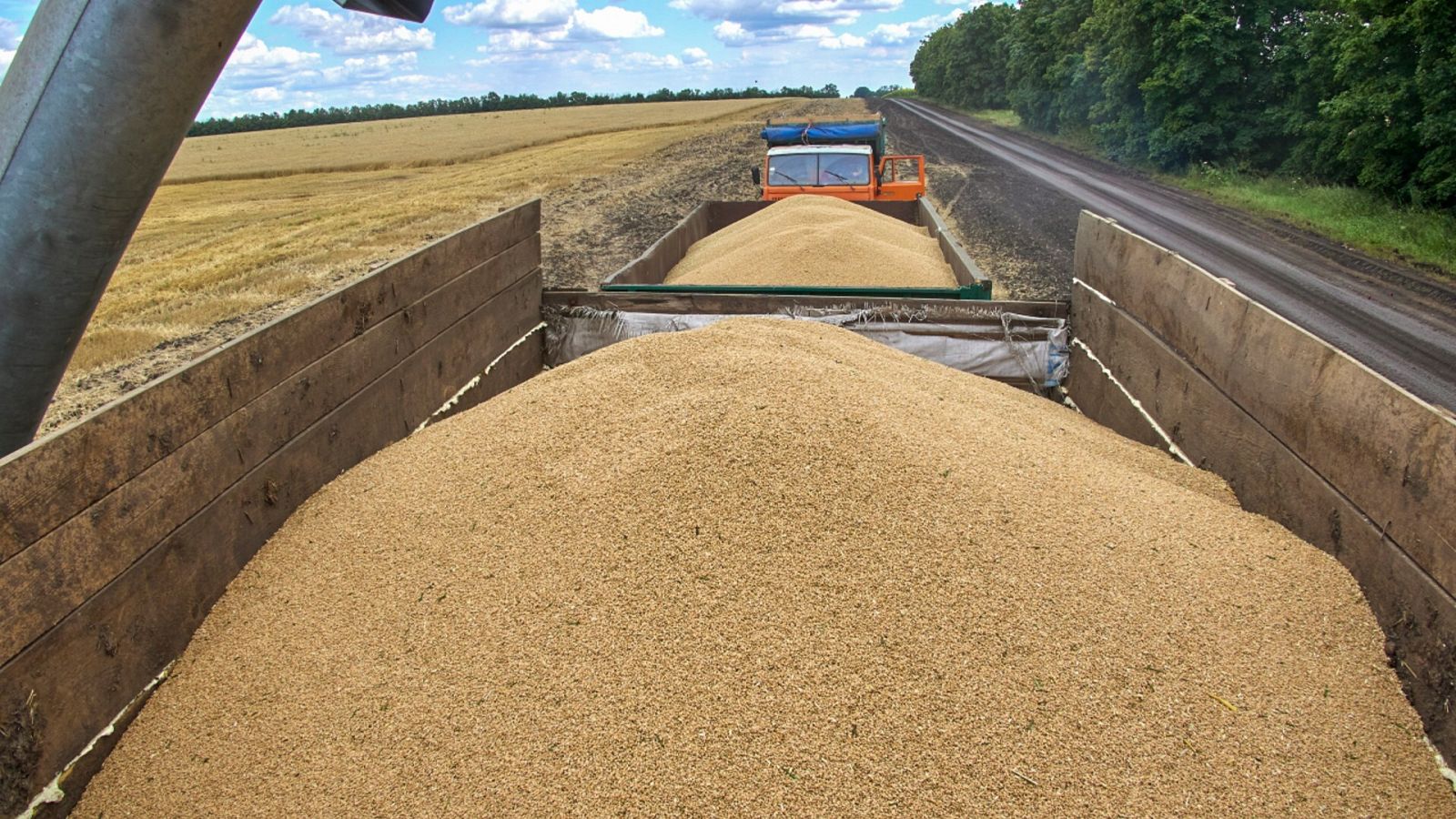 Rusia y Ucrania firmarán este viernes en Turquía un acuerdo sobre el grano