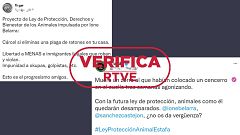 Desinformaciones sobre la nueva ley de protección animal: esto dice el texto del proyecto