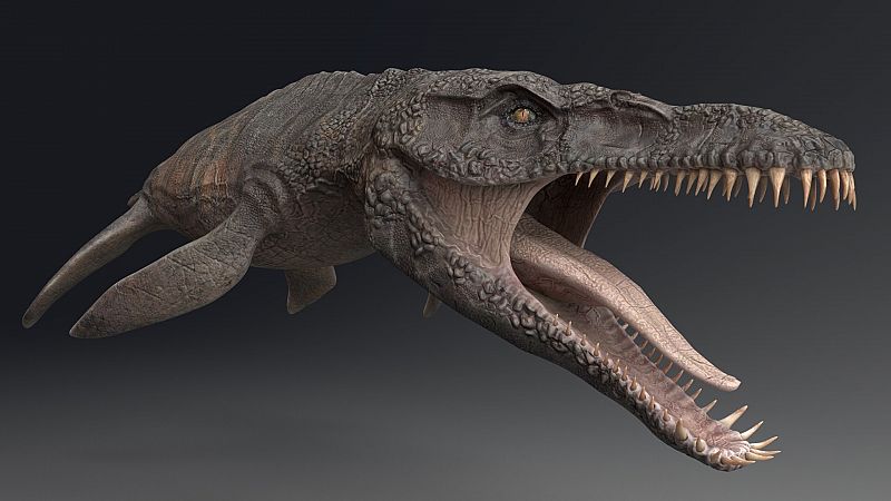 Casi 60 millones de años de cambio climático dieron lugar a la era de los reptiles