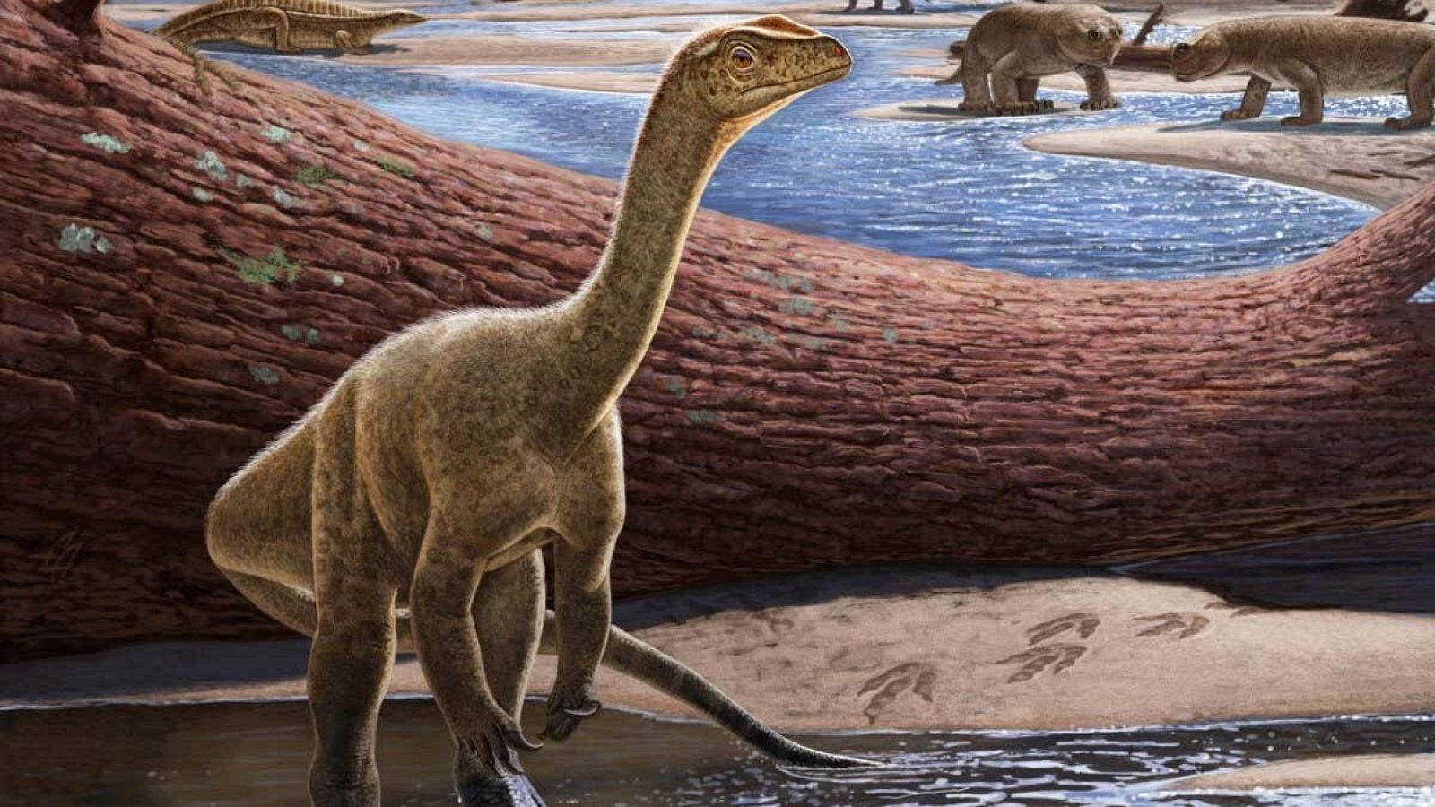 Recreación gráfica del 'Mbiresaurus raathi' encontrado en Zimbabue