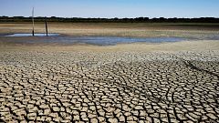 Un pequeño charco al que ya no acuden aves: desaparece la laguna más grande de Doñana por la sequía