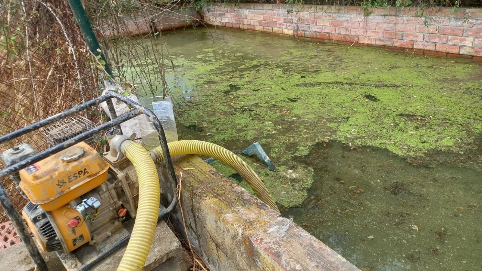 La bassa on van trobar el cos de la gossa