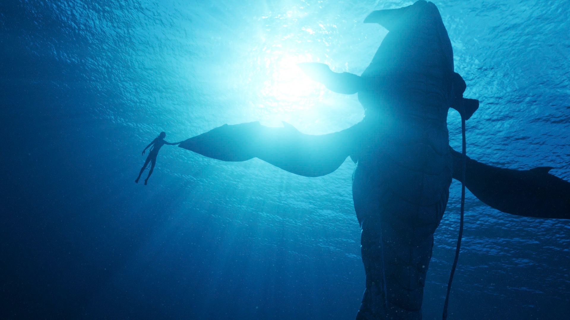 Avatar: El sentido del agua', al rescate de los cines y del 3D