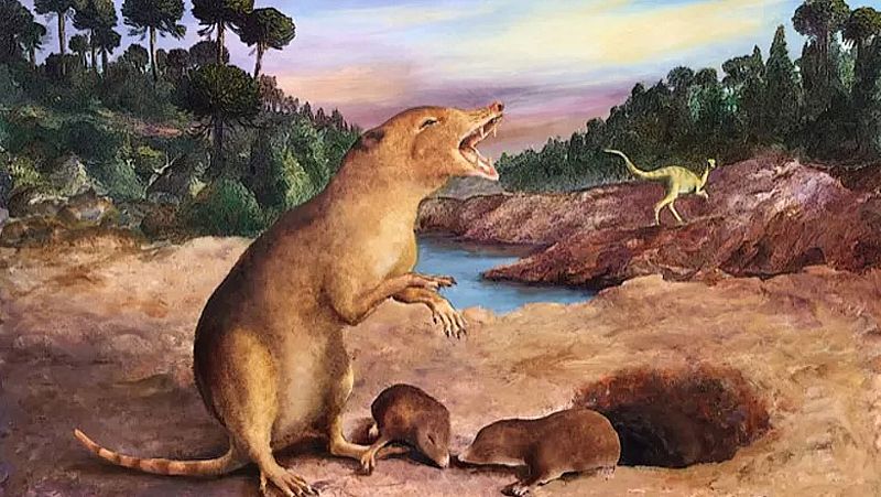 Un análisis dental adelanta el origen de los mamíferos 20 millones de años