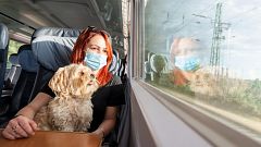 Vagones 'pet friendly', manta para el suelo y bozal: así viajan en AVE los perros de más de 40 kilos