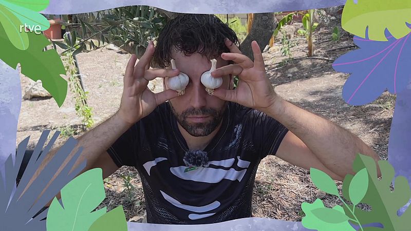 Foragita els vampirs des del teu balc�: cultiva els teus propis alls en un test!