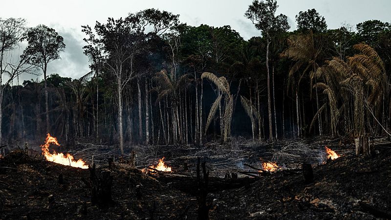 Brasil registra más incendios forestales en la Amazonia en menos de nueve meses que en todo el año 2021