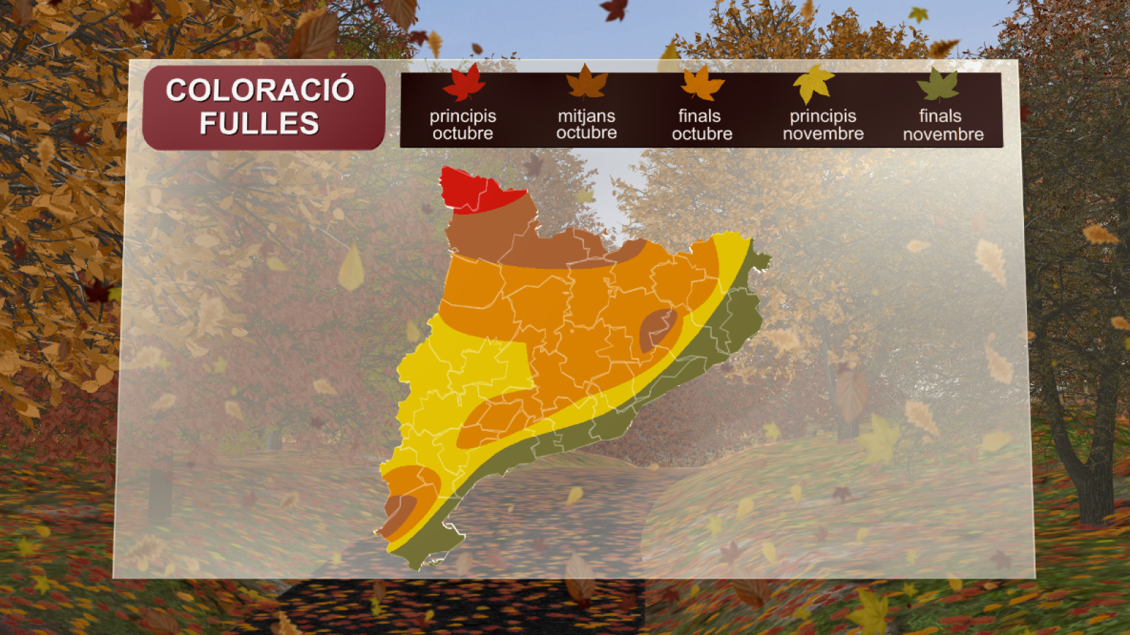 Mapa del canvi de coloració de les fulles dels arbres segons regions