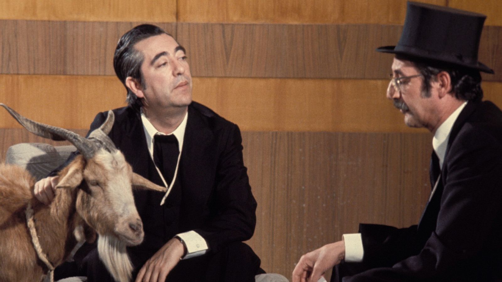 ¿Cómo se conocieron Tip y Coll?