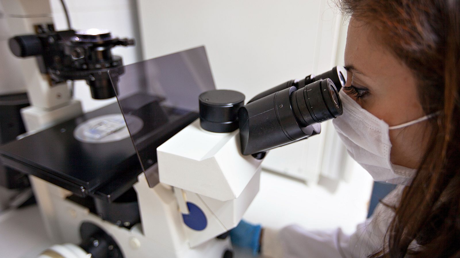 El ensayo clínico comenzó en marzo de 2019 y han participado 1.795 personas.