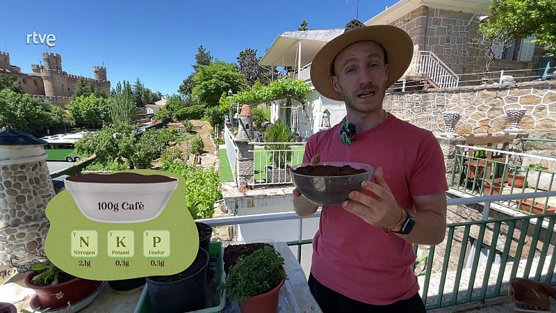 Pren-te un caf� amb les teves plantes, tamb� els agrada!