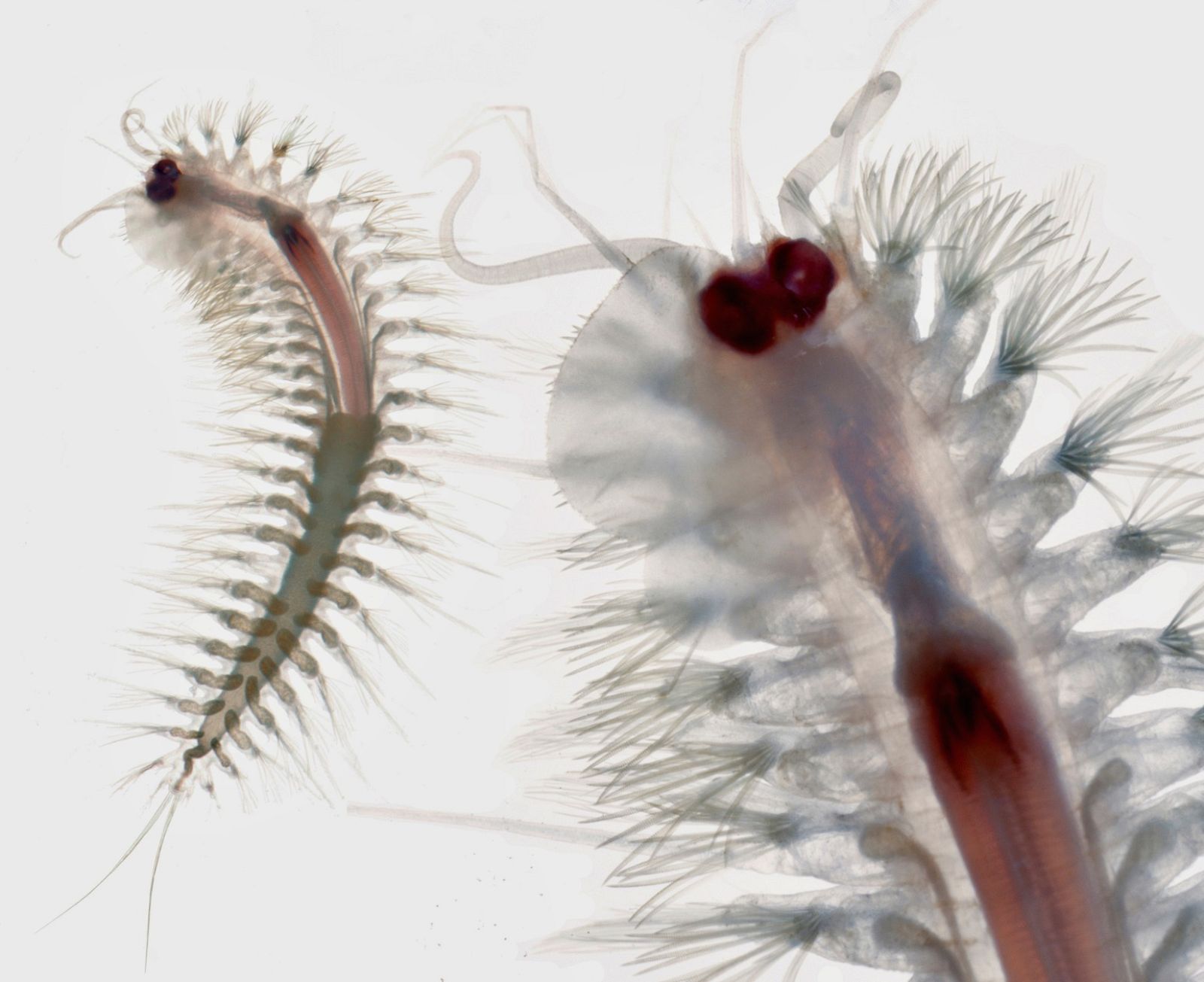 ctv-qrs-whatsapp-image-2022-10-06-at-100157