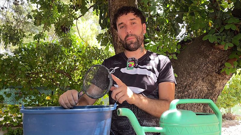 Mai m�s llan�ar�s les cendres quan s�pigues aix�!