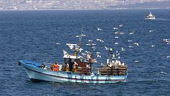 Entra en vigor el veto europeo a la pesca de fondo entre críticas y dudas sobre su aplicación