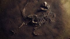 Viajamos tras las huellas de los dinosaurios en España