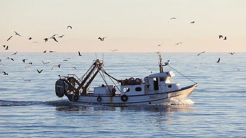 �Pescaremos ma�ana?, la resiliencia de la pesca artesanal, en duda
