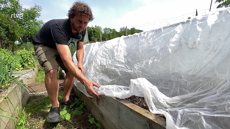 Apr�n a construir un mini hivernacle a casa